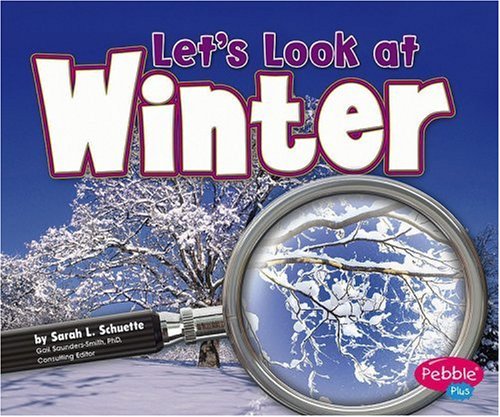 Let's Look at Winter